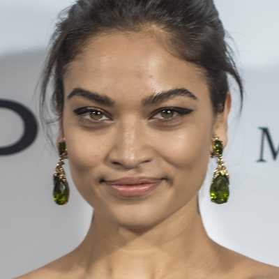 Shanina Shaik Plastic Surgery Face