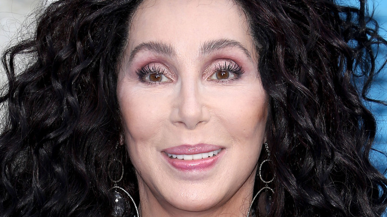 Cher Nose Job Boob Job Facelift Botox Fillers Plastic Surgery