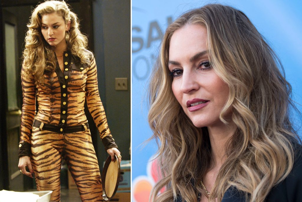 Drea de Matteo Cosmetic Surgery