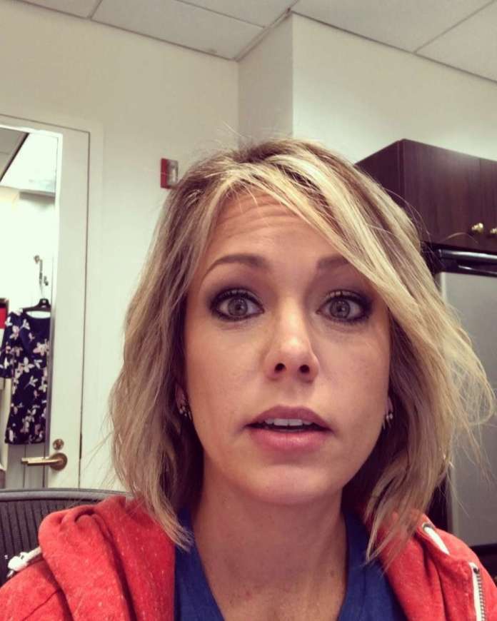 Dylan Dreyer Plastic Surgery Face