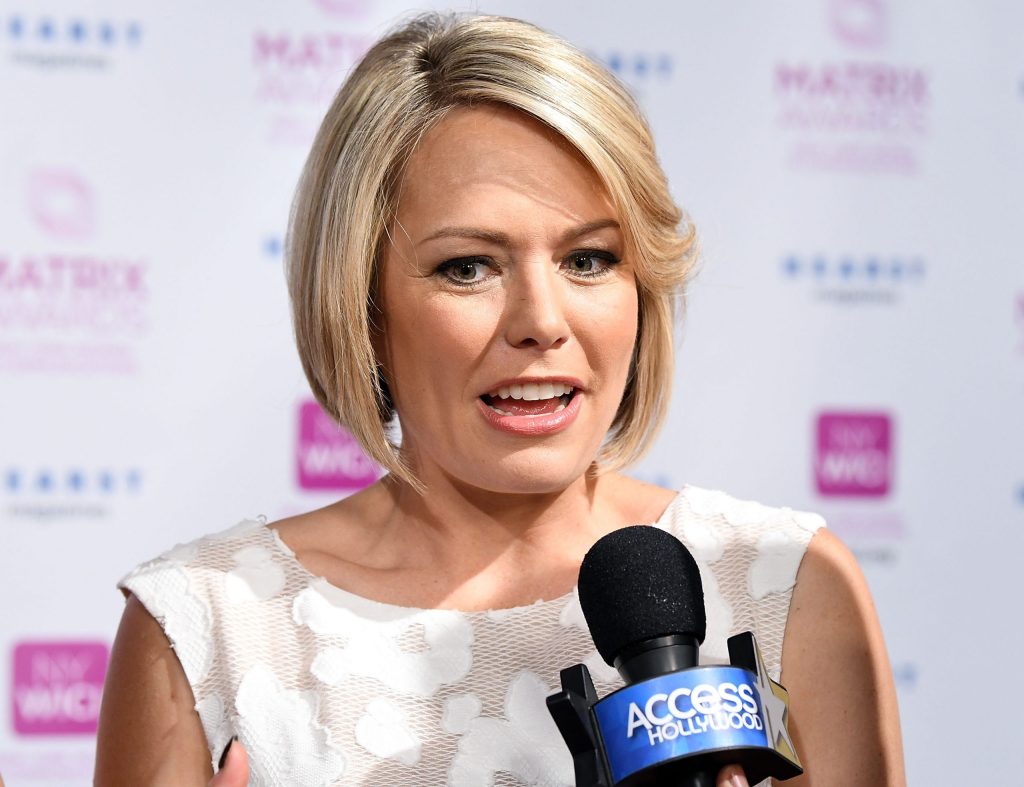 Dylan Dreyer Plastic Surgery Procedures