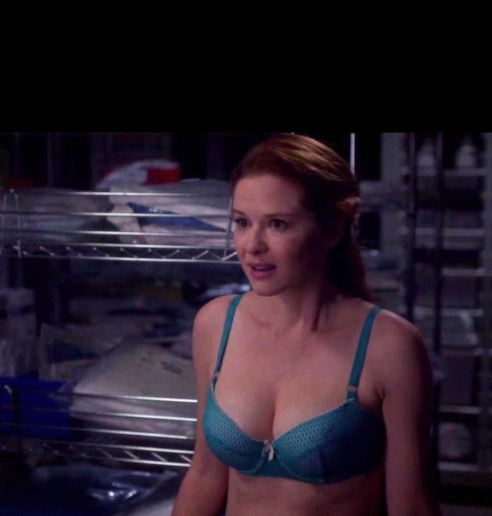 Sarah Drew Cosmetic Surgery Body