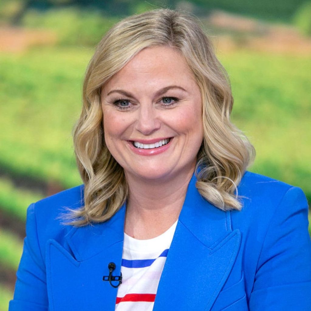 Amy Poehler Plastic Surgery Face