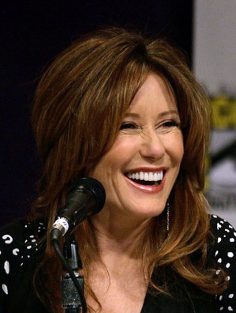 Mary McDonnell Cosmetic Surgery Face
