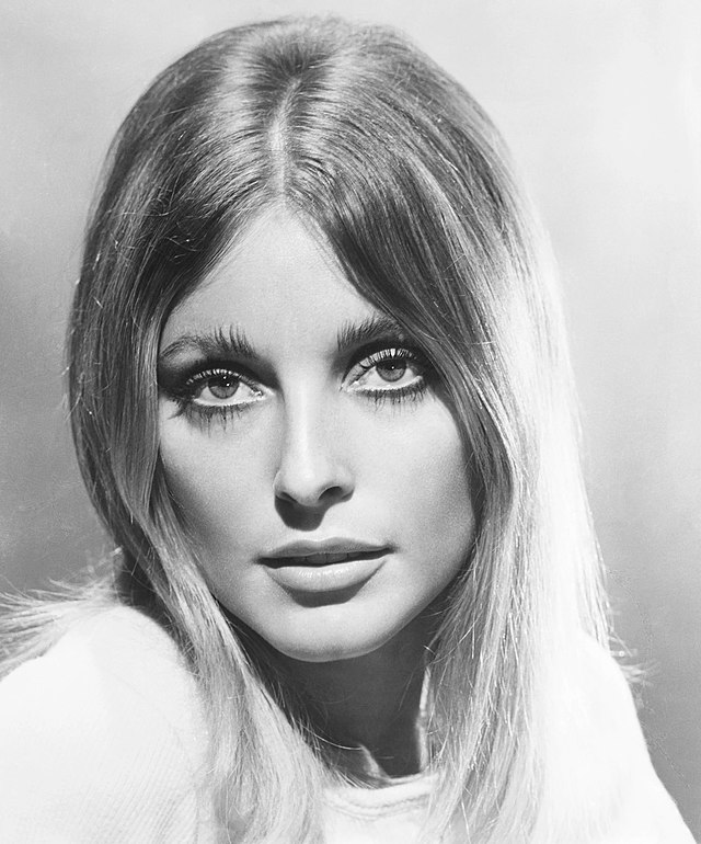 Sharon Tate Cosmetic Surgery Face