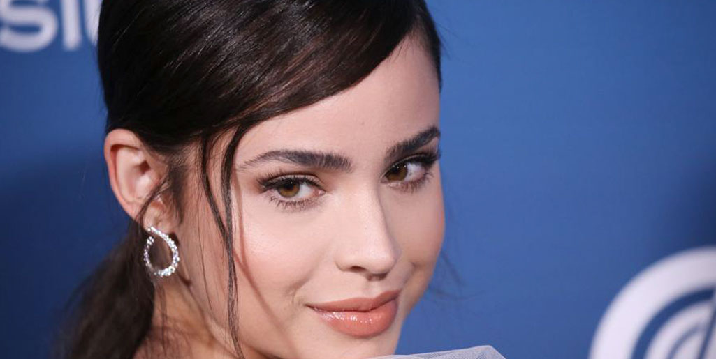 Sofia Carson Plastic Surgery