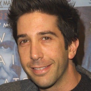 David Schwimmer Plastic Surgery Face