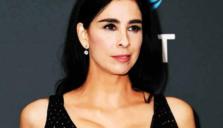 Sarah Silverman Cosmetic Surgery Face