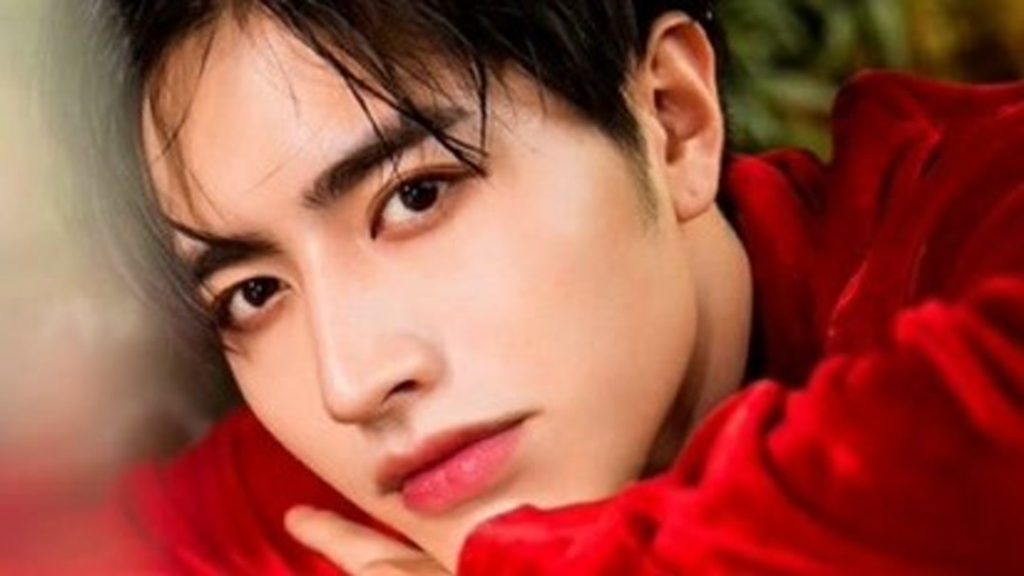 Luo Zheng Plastic Surgery Face