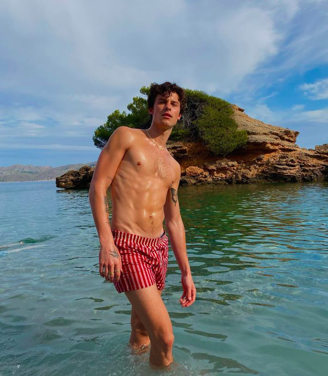 Shawn Mendes Cosmetic Surgery Body