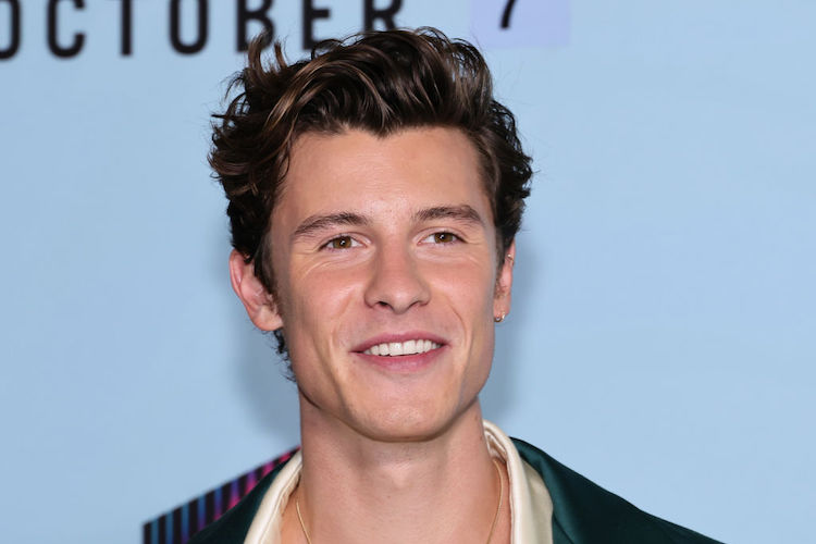 Shawn Mendes Cosmetic Surgery Face