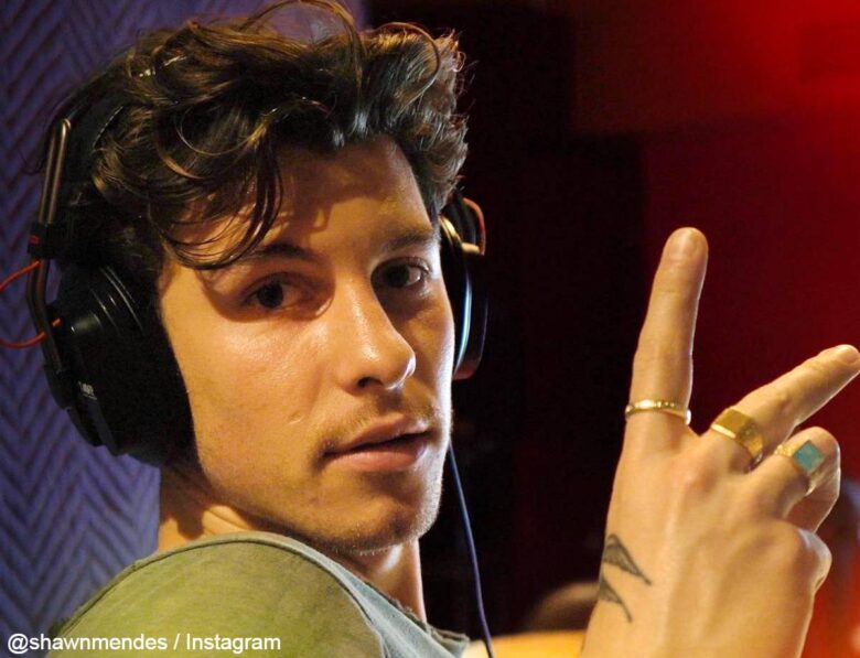 What Plastic Surgery Has Shawn Mendes Had? Plastic Surgery Talks