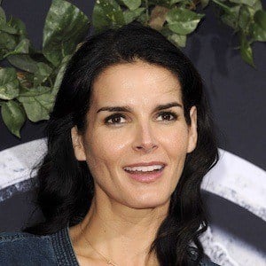 Angie Harmon Plastic Surgery Face