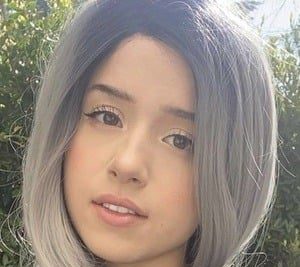 Pokimane Plastic Surgery Procedures